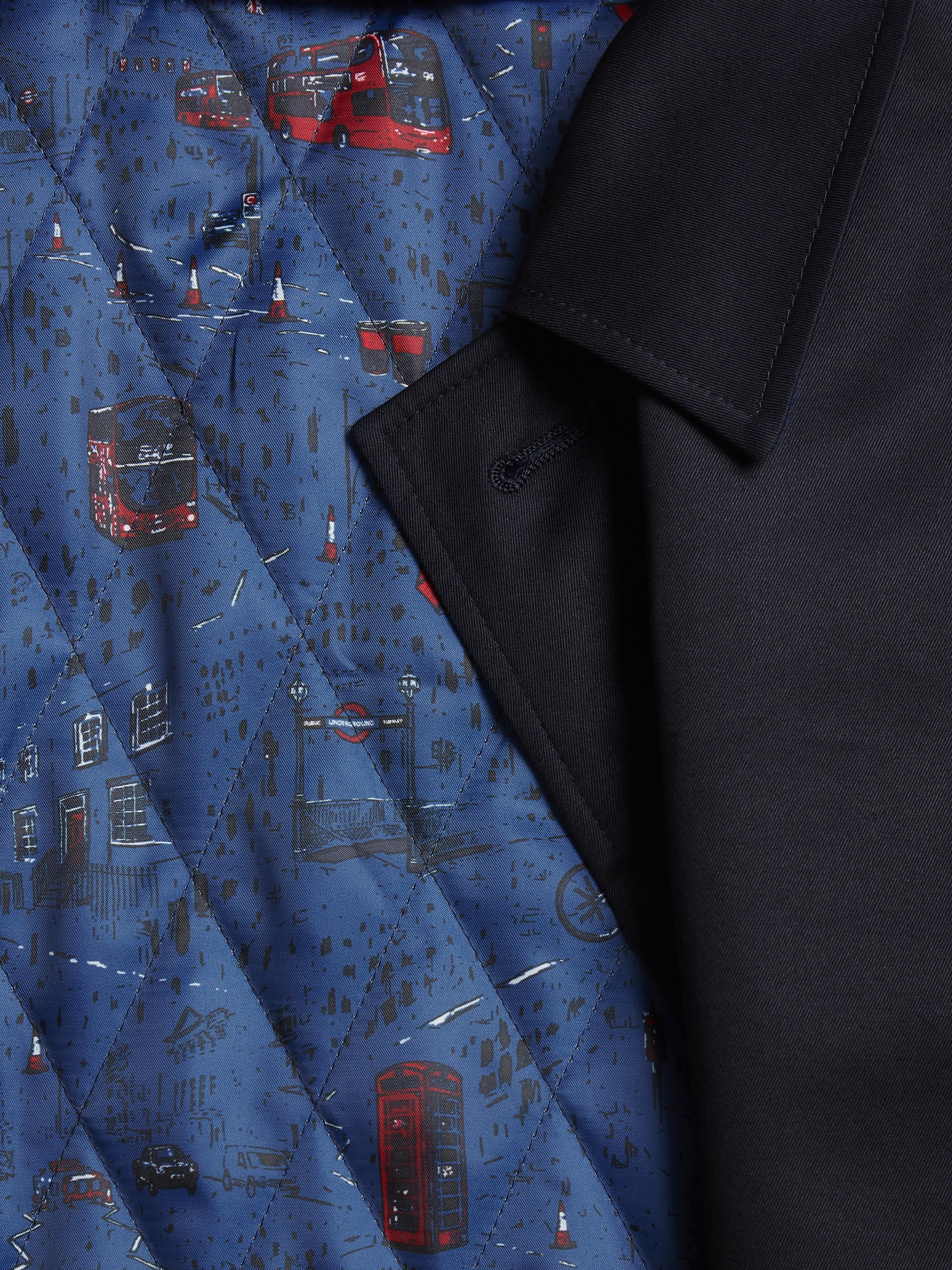 The Pointer Coat - Image 6